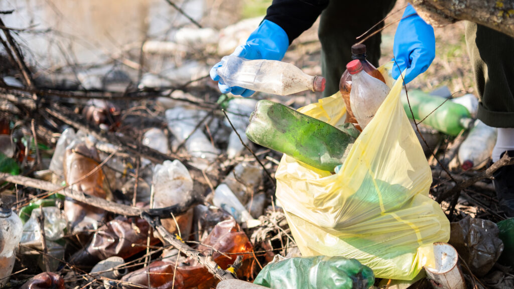 Waste Disposal: Professional Solutions for Safe and Responsible Waste Management 1 Waste Disposal Services