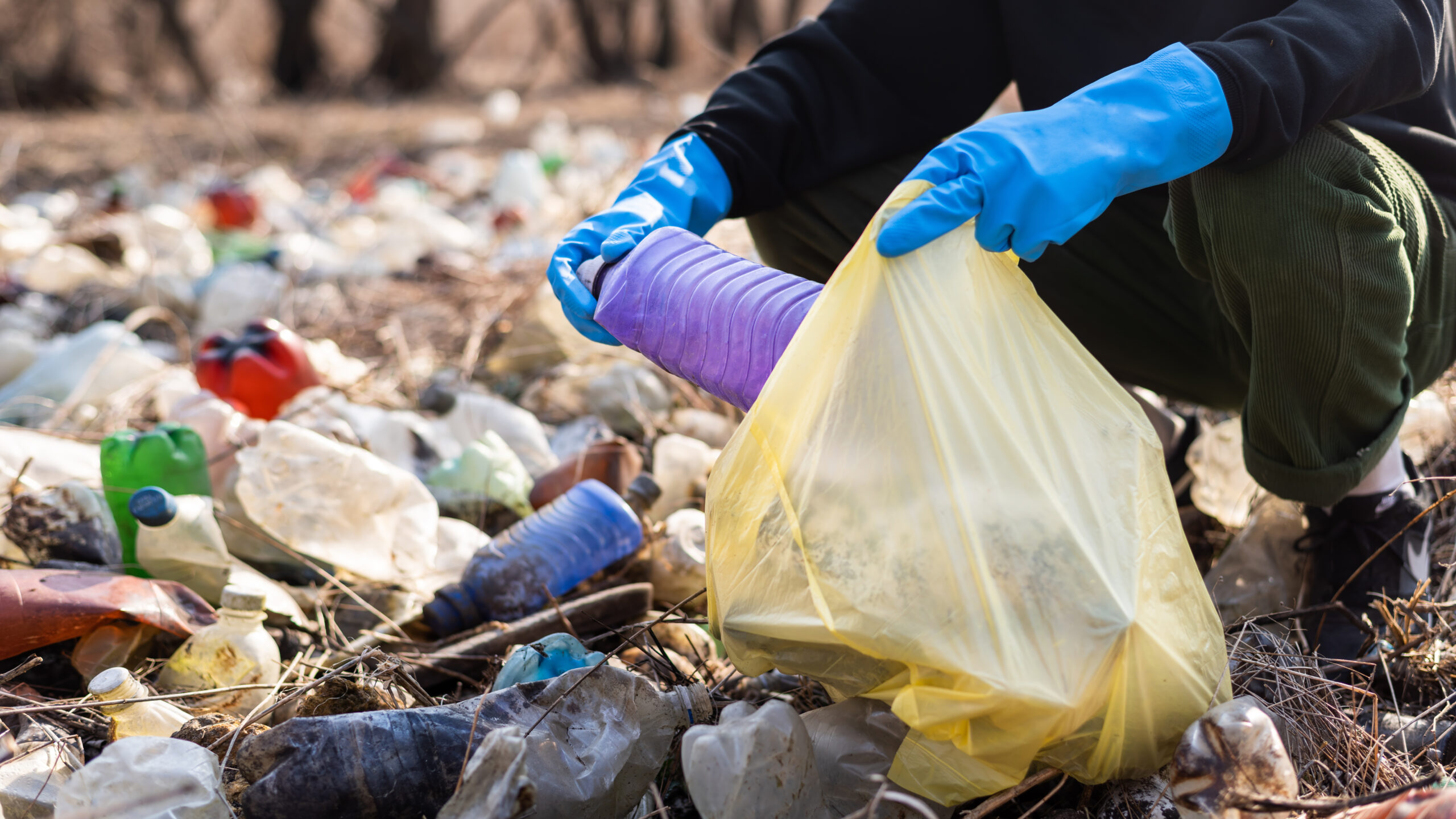 Waste Disposal: Professional Solutions for Safe and Responsible Waste Management