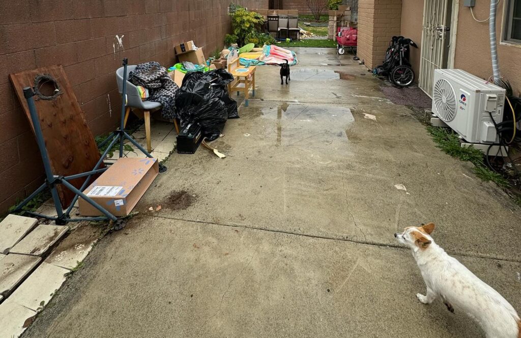 Junk Removal in Ontario