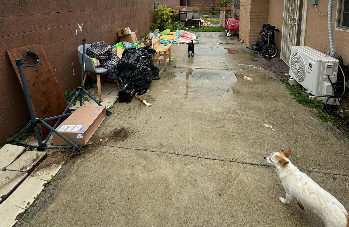 Junk Removal in Ontario: Your Complete Guide to Fast, Affordable, and Stress-Free Cleanup