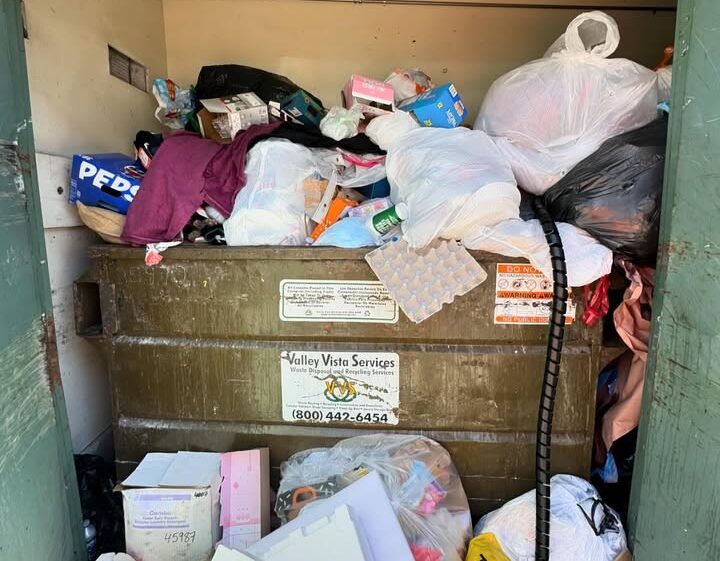 Local Junk Removal: Why Professional Cleanup Services Are Worth Every Penny 1 Local Junk Removal